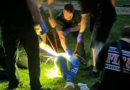Odd Job: N.Y. firefighters free teens from child swings – FireRescue1