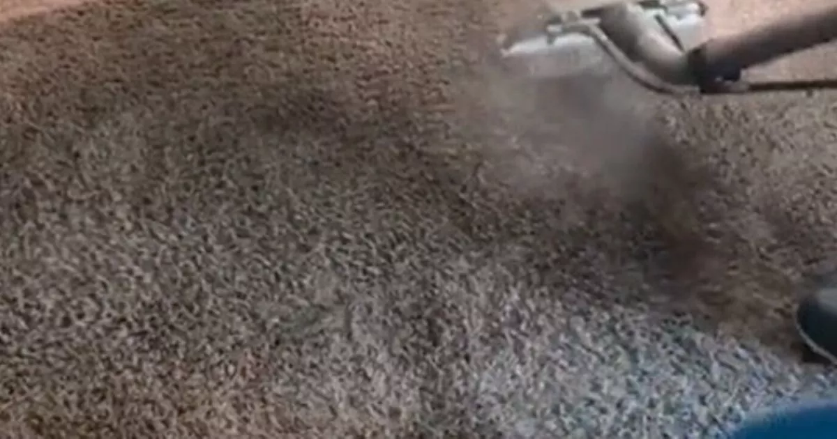 Homeowner thought carpet was pretty grey colour until house was professionally cleaned – The Mirror
