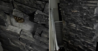 Homeowner finds hidden room years after moving in and it's 'like a nightmare' – The Mirror