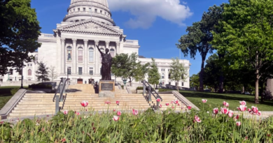 Up in smoke: Workers remove dozens of apparent marijuana plants from Wisconsin Capitol tulip garden – WJXT News4JAX