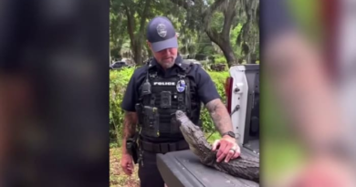 JSO removes nuisance gator from 104-year-old woman's home – WJXT News4JAX