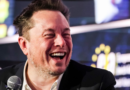 Elon Musk has turned Tesla into a meme stock as he tells Wall Street to value the EV maker like an AI company, top economist says