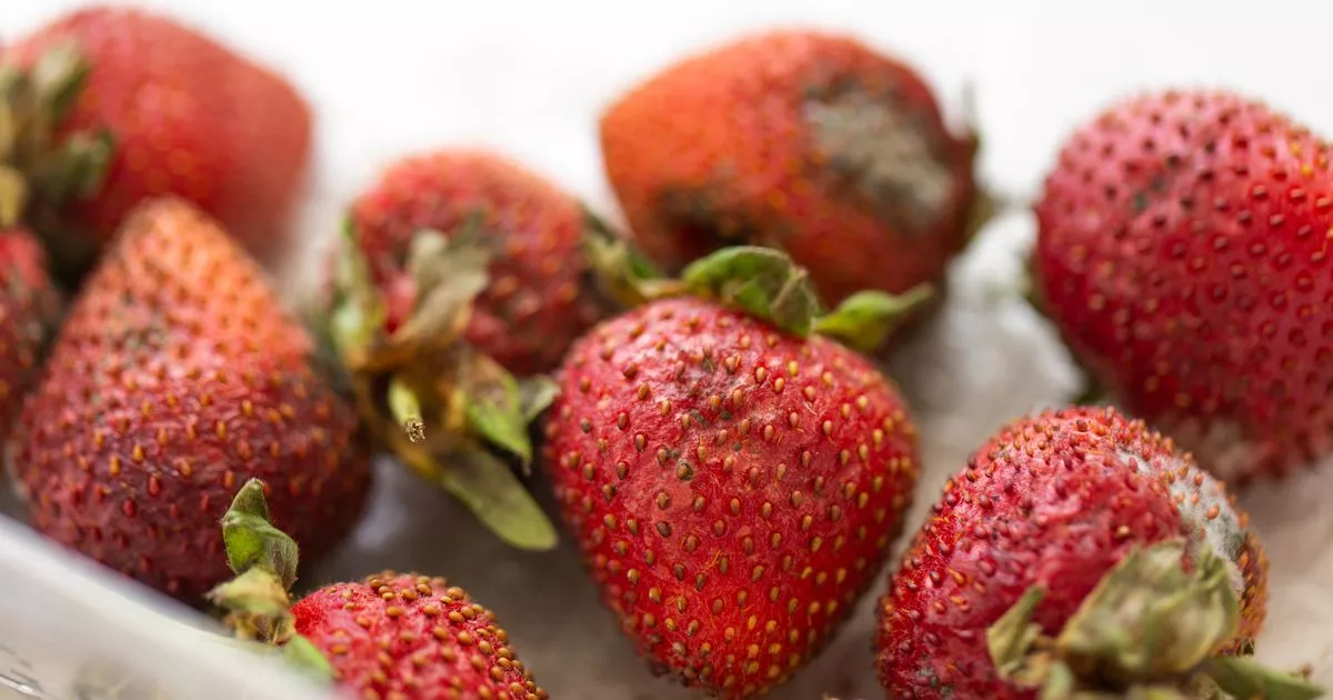 Keep strawberries fresh three weeks longer using one surprising kitchen staple – The Mirror