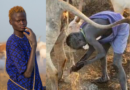 African tribe who baths with cow urine (Video) – The South African