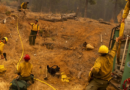 Carbon credits are literally going up in smoke as wildfires threaten their sustainability