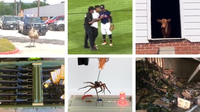 🔒This year in odd news: The weirdest headlines from the Houston area in 2022 – KPRC Click2Houston