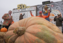 Minnesota Teacher's Massive Pumpkin Wins California Contest – HuffPost