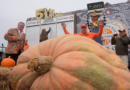 Pumpkin weighing 2,471 pounds wins California contest – WKMG News 6 & ClickOrlando