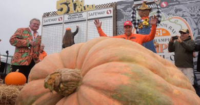 Pumpkin weighing 2,471 pounds wins California contest – WKMG News 6 & ClickOrlando