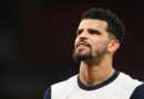 Tottenham's Solanke named in England squad