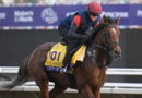 Betting the Breeders' Cup: Is it time for City of Troy?