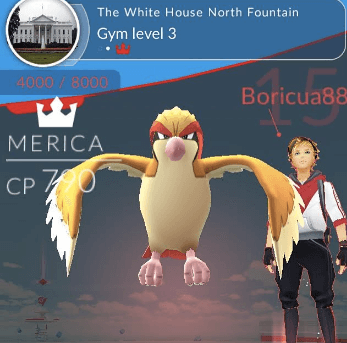 Pokemon Go White House Gym Battle