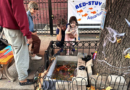 A makeshift goldfish pond beneath a leaky Brooklyn fire hydrant is reborn in a tree bed – WPLG Local 10