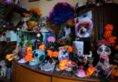 Pets join Mexico's Day of the Dead celebrations, as Fido and Tiger get their own altars – WKMG News 6 & ClickOrlando