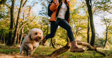 Walking more could add as much as 11 years to your life, study says. Here’s how