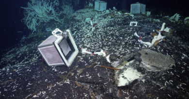 Tubeworms, snails and other weird creatures found under the seafloor – The Associated Press