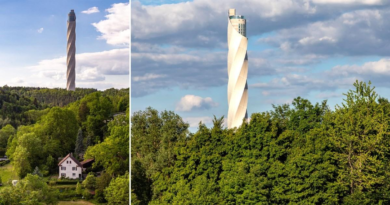 Mystery behind why 807ft skyscraper has been built in the middle of a forest – Metro.co.uk