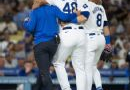 Dodgers' Graterol (shoulder) to sit first half of '25