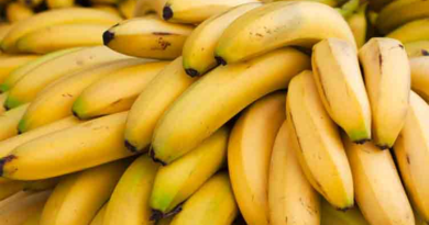 Swedish minister's staff insists on banana-free meetings due to weirdest phobia – Dunya News