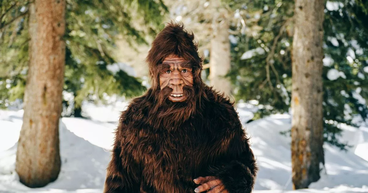 Bigfoot 'is real and has even been having little Bigfoot babies', boffins claim – Daily Star