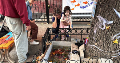 A makeshift goldfish pond beneath a leaky Brooklyn fire hydrant is reborn in a tree bed – WJXT News4JAX