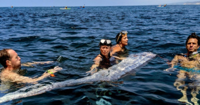 Mysterious 'doomsday fish' washes ashore in California for second time this year – Metro.co.uk