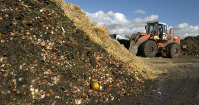 Food waste is full of surprisingly low-hanging fruits to help tackle climate change, a growing body of evidence shows