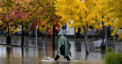 200,000 people around Seattle have no power as massive storm dumps heavy snow and record rain on Northwest