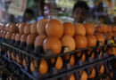 Eggs are getting more expensive again as bird flu outbreak lingers into holiday baking season