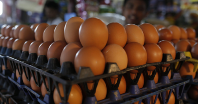 Eggs are getting more expensive again as bird flu outbreak lingers into holiday baking season