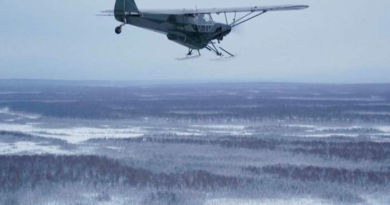 'It's a bird! It's a plane!' In Alaska, it's both, with a pilot dropping turkeys off to rural homes – KPRC Click2Houston