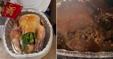 Food influencer's 'toilet turkey' recipe for Thanksgiving horrifies followers – Daily Express US