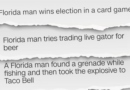 Googling 'Florida man' is the latest internet fad. Let's explore why so many crazy stories come out of the state – CNN International