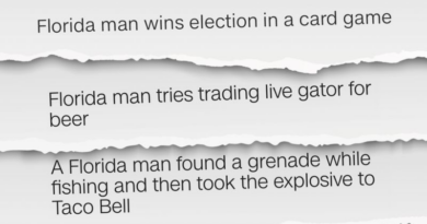 Googling 'Florida man' is the latest internet fad. Let's explore why so many crazy stories come out of the state – CNN International