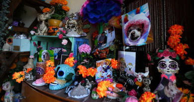 Pets join Mexico's Day of the Dead celebrations, as Fido and Tiger get their own altars – WJXT News4JAX