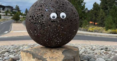 Mysterious googly eyes go viral after appearing on public art in Oregon – WKMG News 6 & ClickOrlando