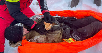 Ukrainian man fleeing war rescued with his kitten on a perilous journey through Romanian mountains – KSAT San Antonio