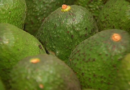 Over 34,000 stolen avocados discovered during traffic stop in Texas – KCENTV.com