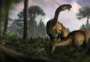 Fossilized dinosaur feces and vomit help scientists reconstruct the creatures' rise – KSAT San Antonio