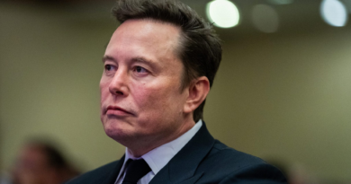 Elon Musk spent the day bashing a spending package before Donald Trump tagged in and threatened any Republican who voted for it. The bill is dead.