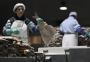 Forget turkey, supermarkets in Portugal overflow with salted cod as holiday season approaches