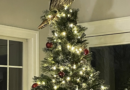 Owl Strikes Perfect Pose On Christmas Tree After Flying Down Chimney – HuffPost