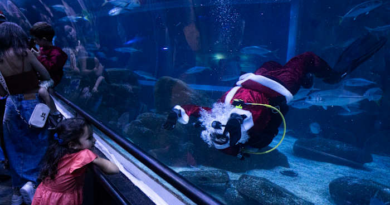 Santa Claus joins sharks for a holiday swim at a Rio de Janeiro aquarium – WJXT News4JAX