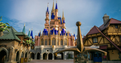 Planning a Disney vacation? Experts say use these cards to maximize your rewards.