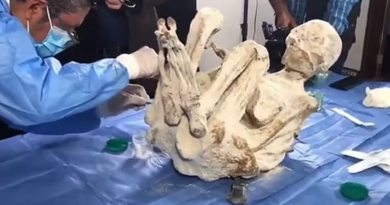 'Alien mummies' case takes new twist as more bodies found in Peru – The Mirror