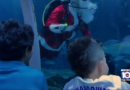 Santa Claus joins sharks for a holiday swim at a Rio de Janeiro aquarium – WPLG Local 10