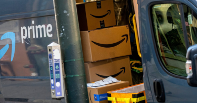 Police say an Amazon driver ditched 80 packages in the woods before Christmas because they were ‘stressed’