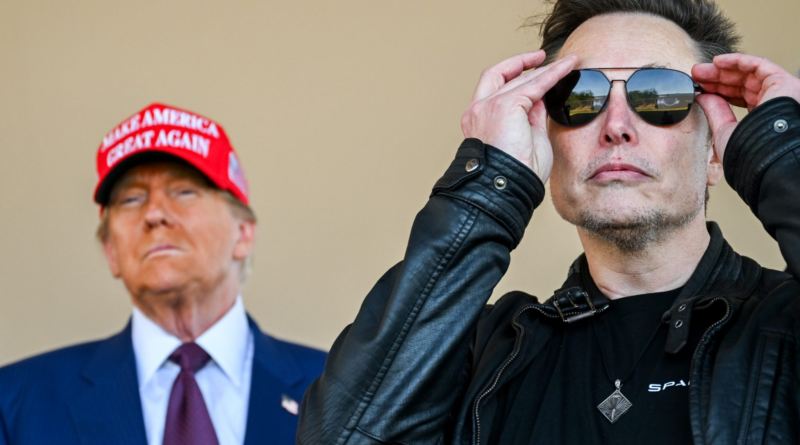 Trump’s MAGA base is turning on Elon Musk after he said he wants to import more skilled workers