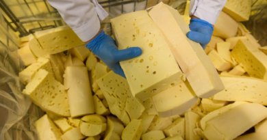 Fume leak at major U.S. cheese factory sends workers to hospital, 2 in critical condition