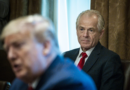 Trump names tariff hawk Peter Navarro as chief trade strategist, bringing back former adviser who was jailed after Jan. 6